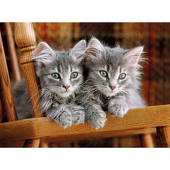 CLEMENTONI PUZZLE HIGH QUALITY COLLECTIO