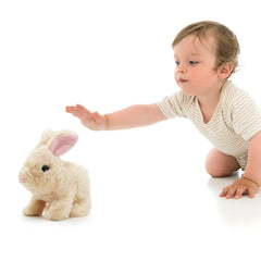 Pugs At Play Jumping Cookie 6.5 - Inches Battery Operated