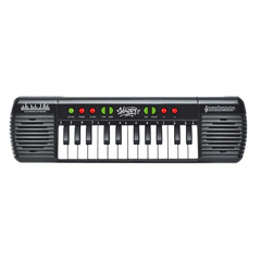 Power Joy Music Keyboard 24Keys With Mic Battery Operated