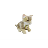 NATGEO National Geographic Doll Plush Premium Qt Rmli 10