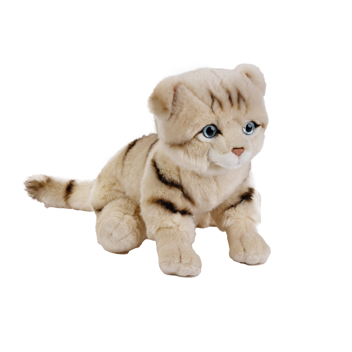 Natgeo Plush Premium Scottish Cat 10 Inch