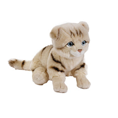 Natgeo Plush Premium Scottish Cat 10 Inch