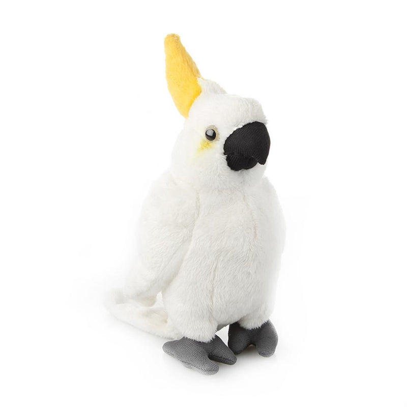 NATGEO National Geographic Doll Plush Premium KoCATo 6