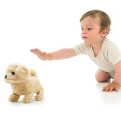 Pugs At Play Walking Goldie 6.5  Inch Battery Operated
