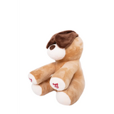 Pugs At Play Peek A Boo Dash 10 Inch B O